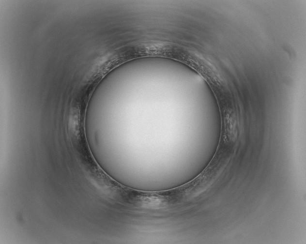 X0000116560698200912101450