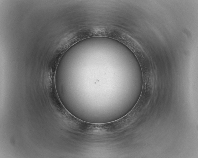 X0000116560702200912101450