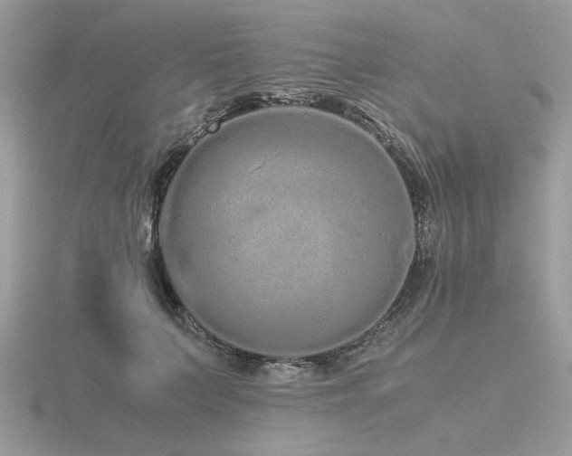 X0000116560703200912101450