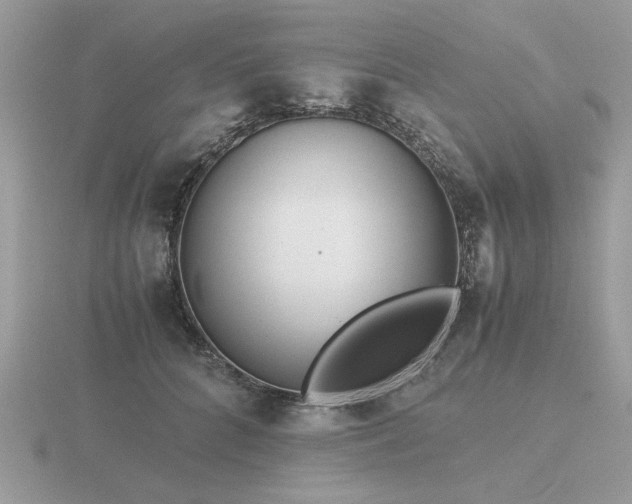 X0000116560704200912101450
