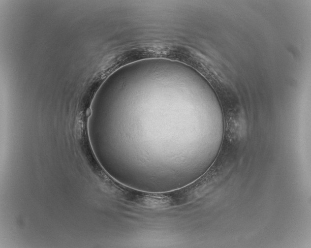 X0000116560707200912101450