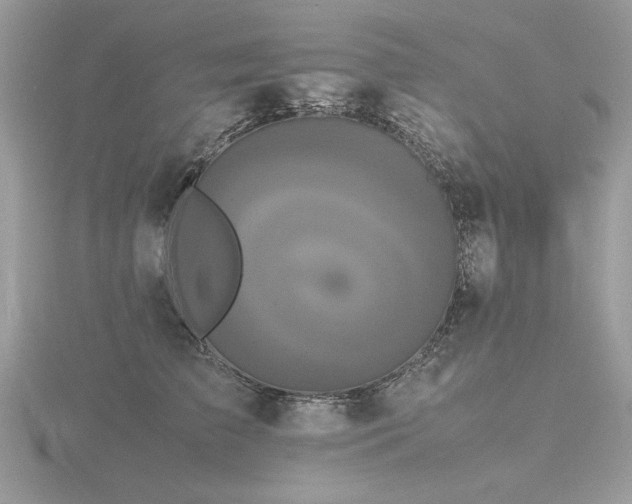 X0000116560709200912101450