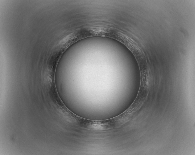 X0000116560710200912101450