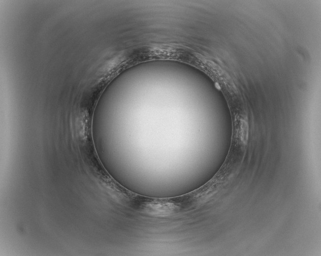 X0000116560712200912101450