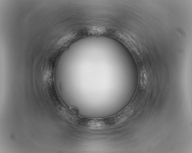 X0000116560714200912101450