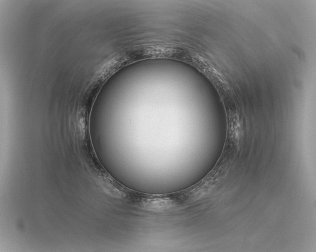 X0000116560716200912101450