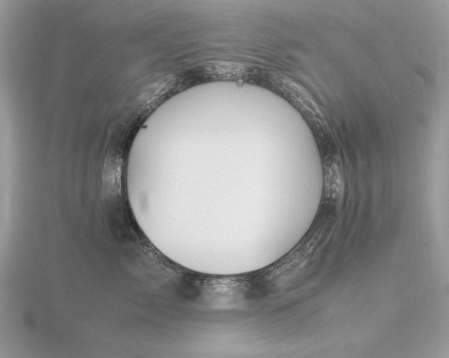 X0000116560717200912101450