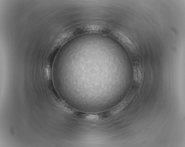 X0000116560718200912101450