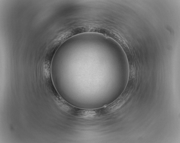 X0000116560719200912101450