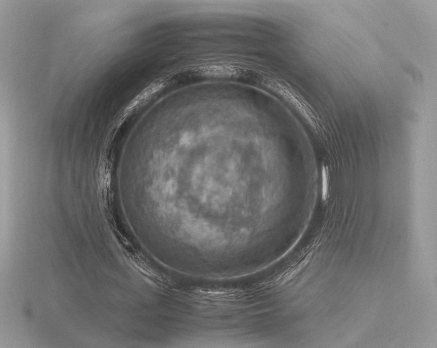 X0000116560723200912101449