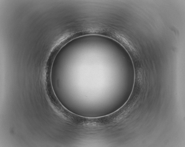 X0000116560730200912101449
