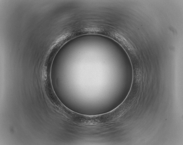 X0000116560731200912101449