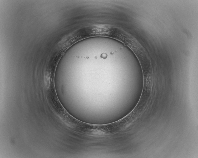 X0000116560741200912101450