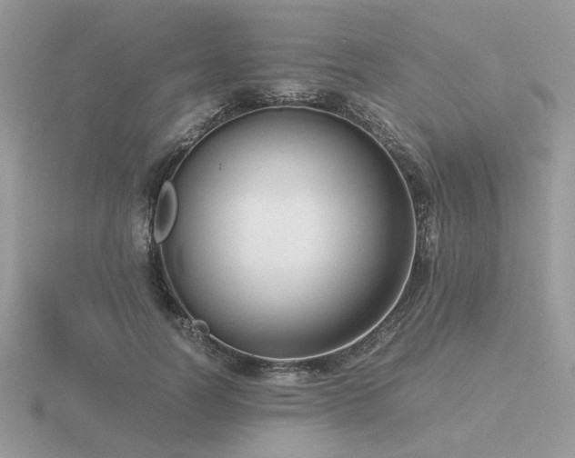 X0000116560746200912101450