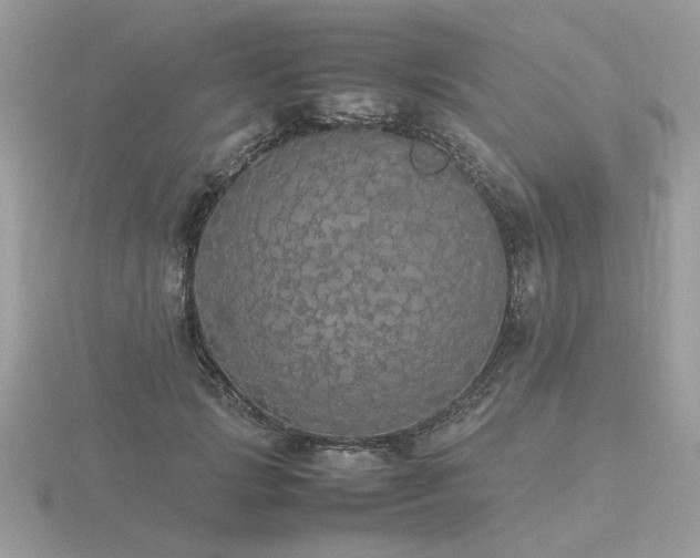 X0000116560749200912101450