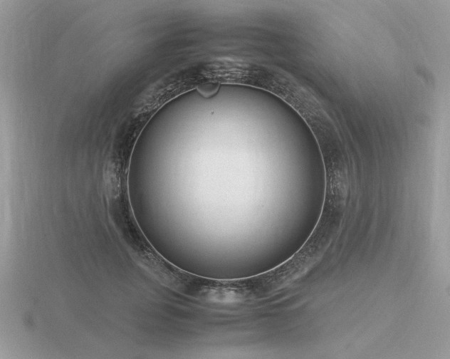 X0000116560751200912101450