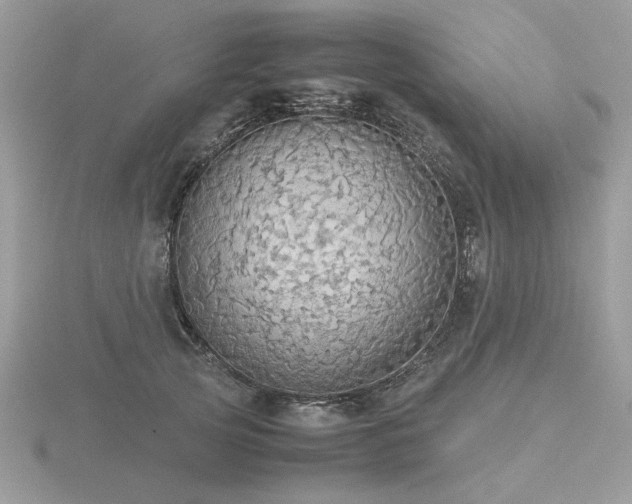 X0000116560753200912101450
