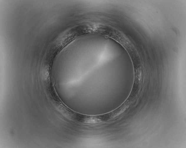 X0000116560754200912101450