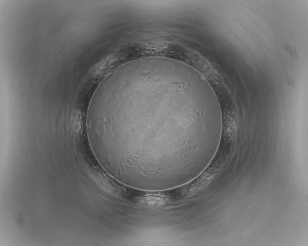 X0000116560758200912101450