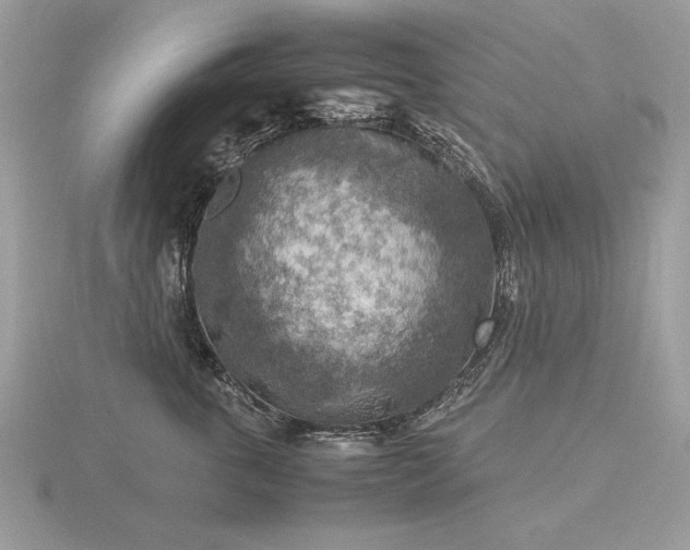 X0000116560763200912101450