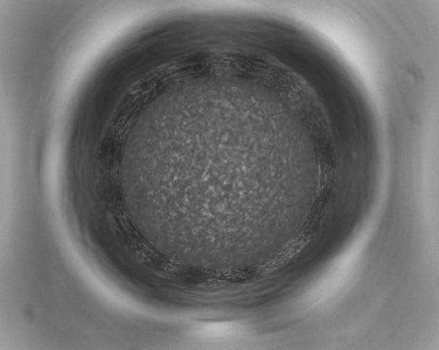 X0000116560765200912101450