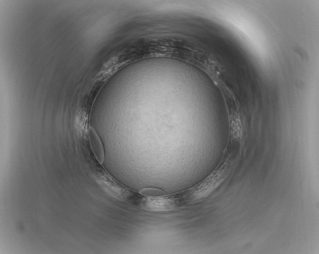 X0000116560766200912101450