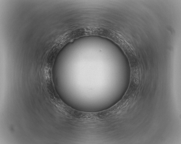 X0000116560770200912101449