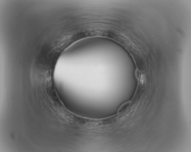 X0000116560771200912101449