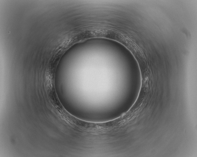 X0000116560772200912101449