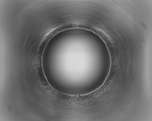 X0000116560776200912101449