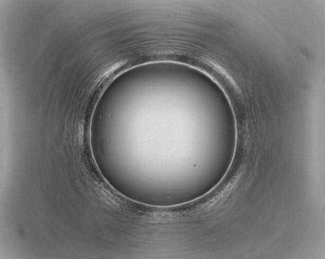 X0000116560777200912101449
