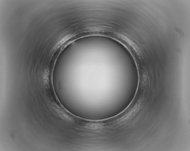 X0000116560778200912101449