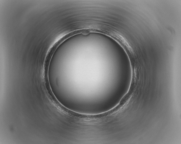 X0000116560780200912101449