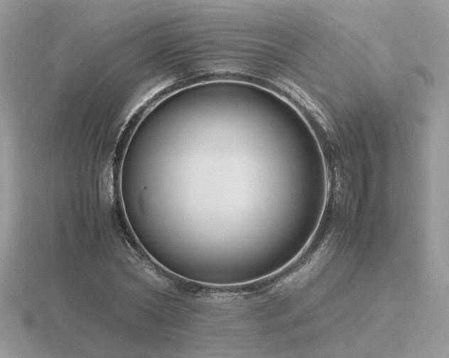 X0000116560782200912101449