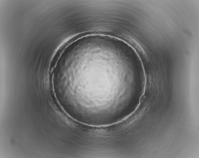 X0000116560784200912101449