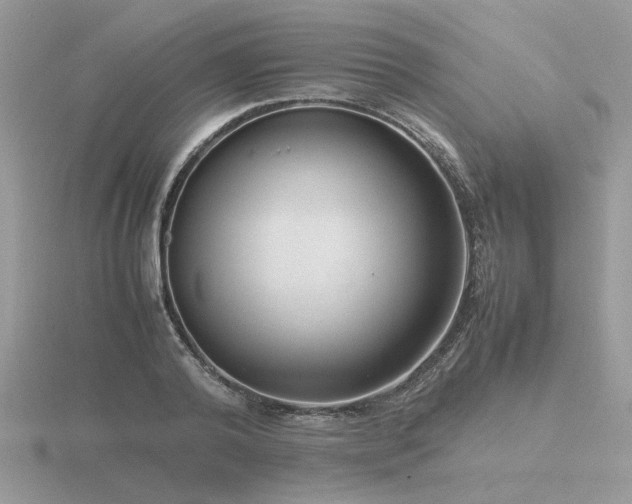 X0000116560792200912101449