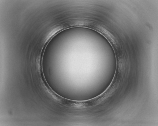 X0000116560794200912101449