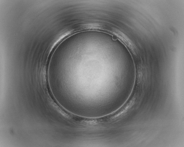 X0000116560798200912101449