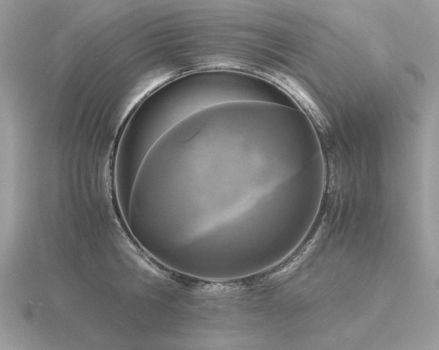 X0000116560806200912101449