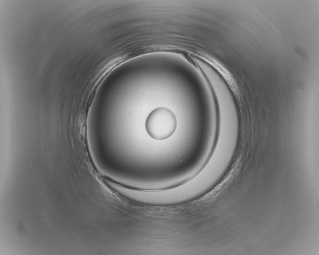 X0000116560809200912101449
