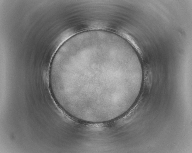 X0000116560810200912101449