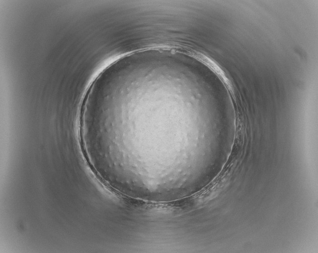 X0000116560811200912101449