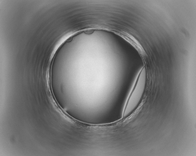 X0000116560812200912101449