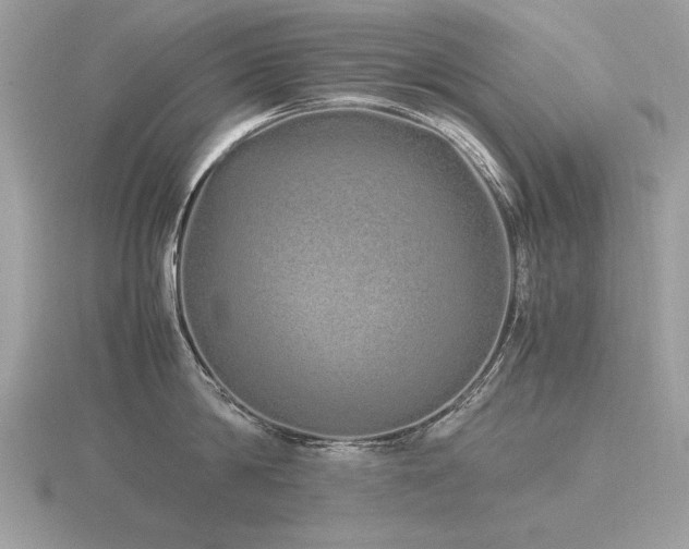 X0000116560814200912101449