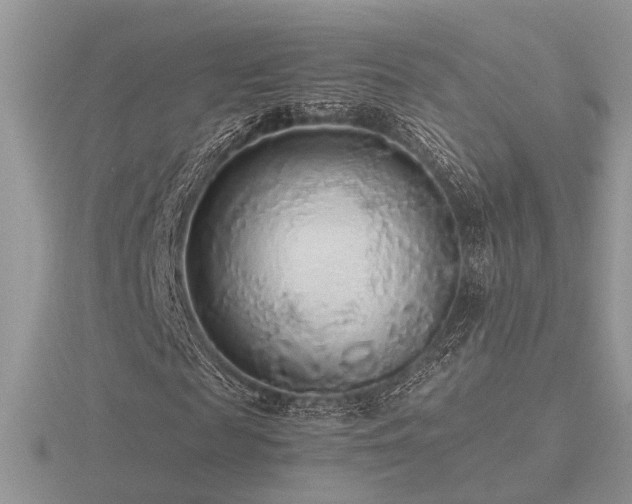 X0000116560817200912101448