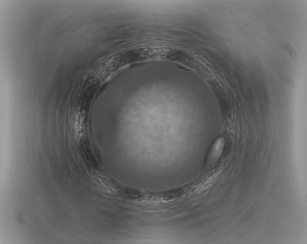 X0000116560818200912101448