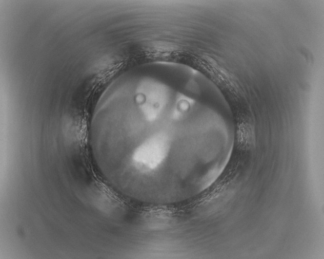X0000116560820200912101448