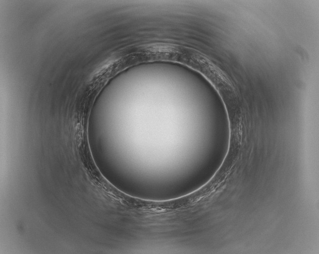 X0000116560821200912101448