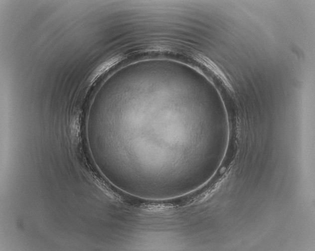X0000116560826200912101448