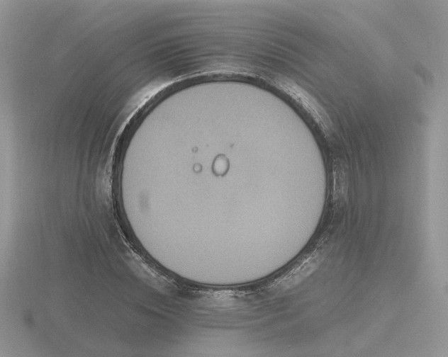 X0000116560828200912101448